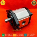 ក្បាលប៉ូម ១៩លី / Hydraulic Gear Pump 19mm